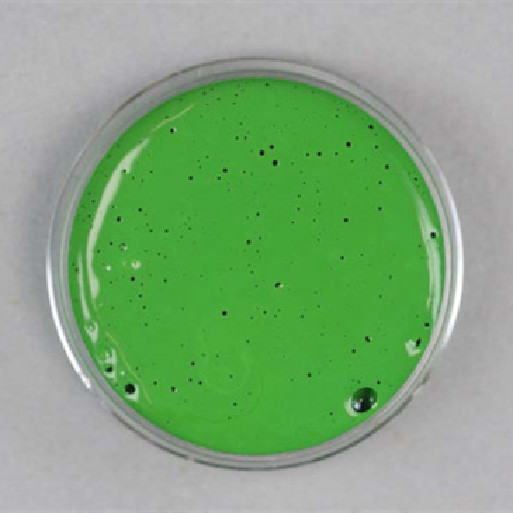 Water-Based Color Paste Green