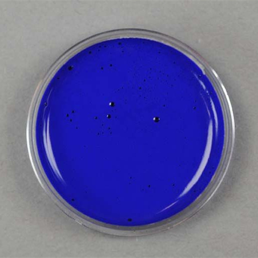 Water-Based Color Paste Blue